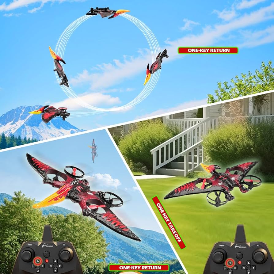 Amazon.com: Dragon Remote Control Flying Airplane for Adults